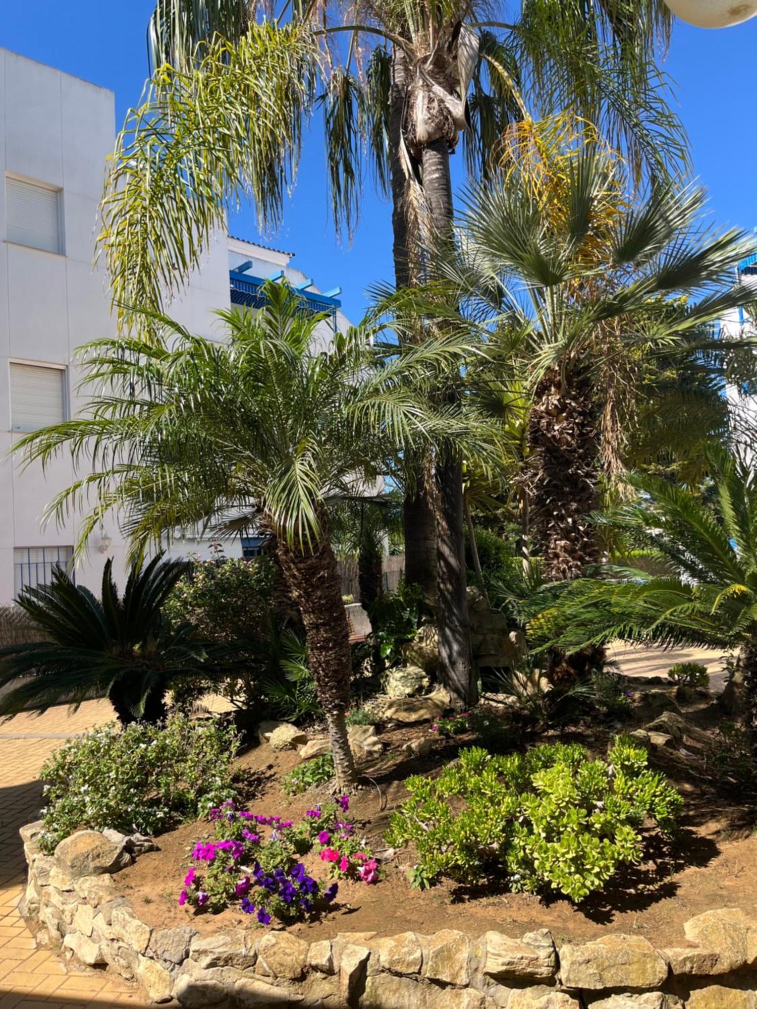 Apartamento En Costa Ballena, Urb. Playa Ballena 加的斯 外观 照片